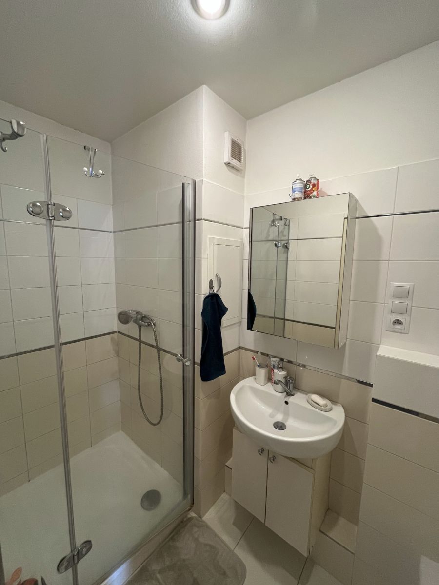 Pronájem bytu 2+1 51 m², Plzeň – náhled fotky 2