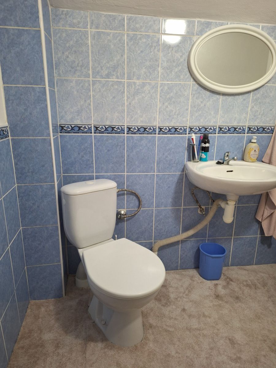 Prodej objektu 100 m², Zbiroh – náhled fotky 12