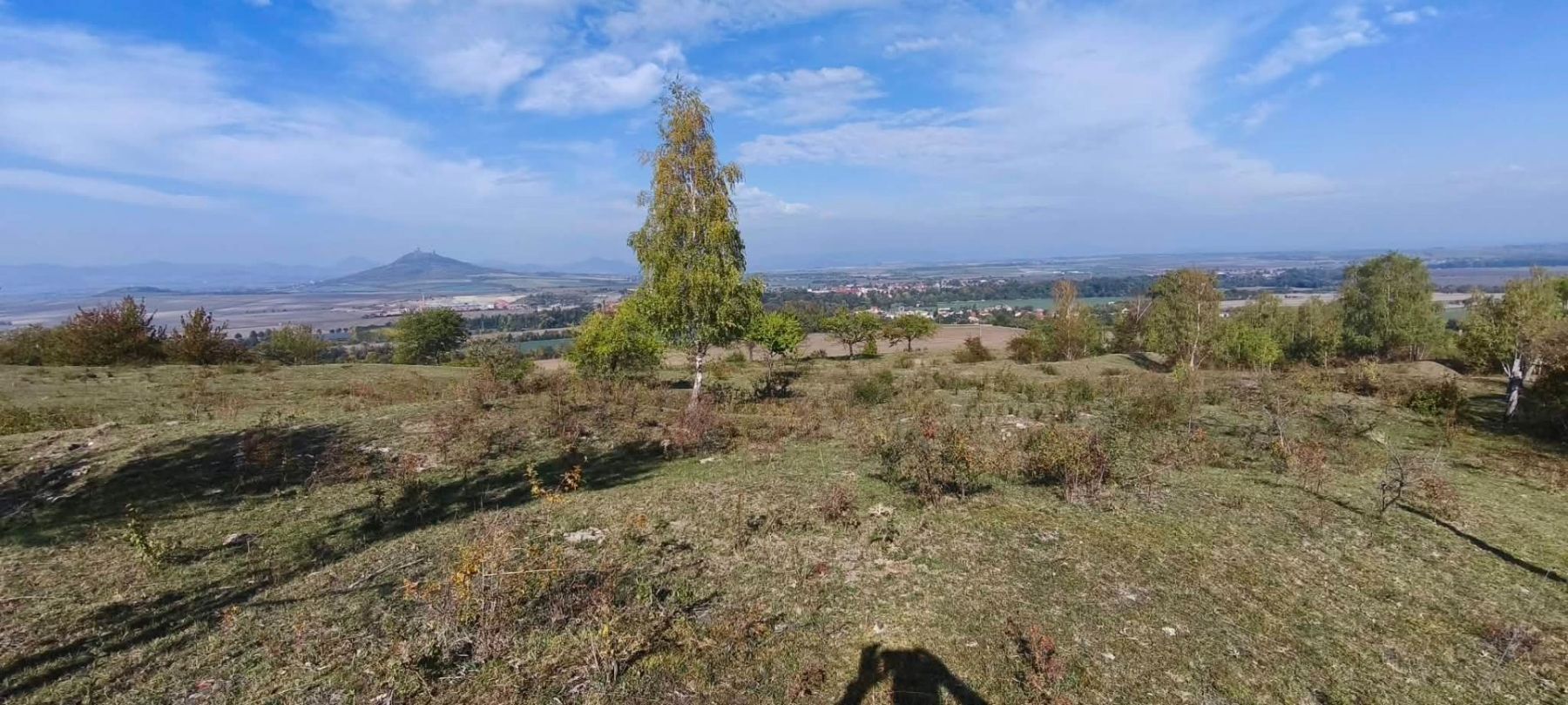 Prodej pozemku, Libochovice