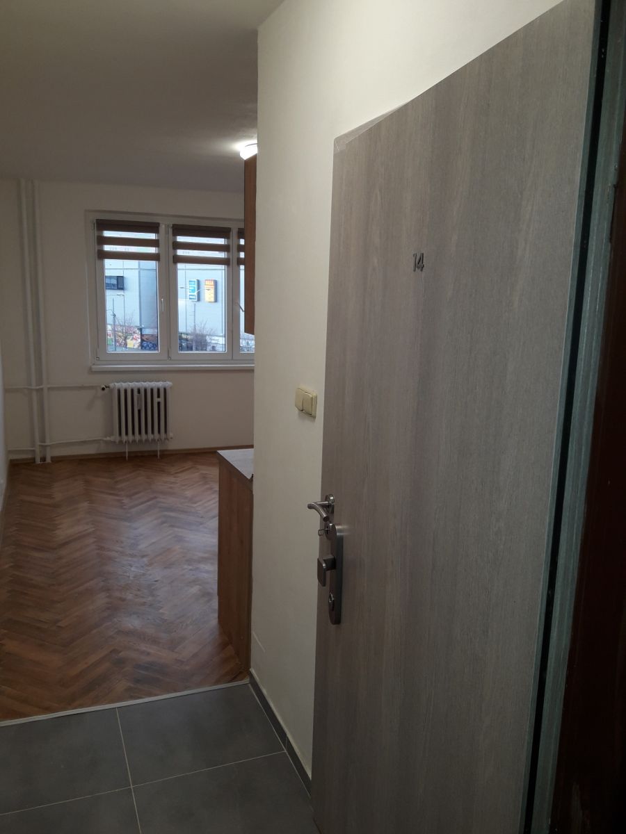 Pronájem bytu 24 m², Plzeň – náhled fotky 3