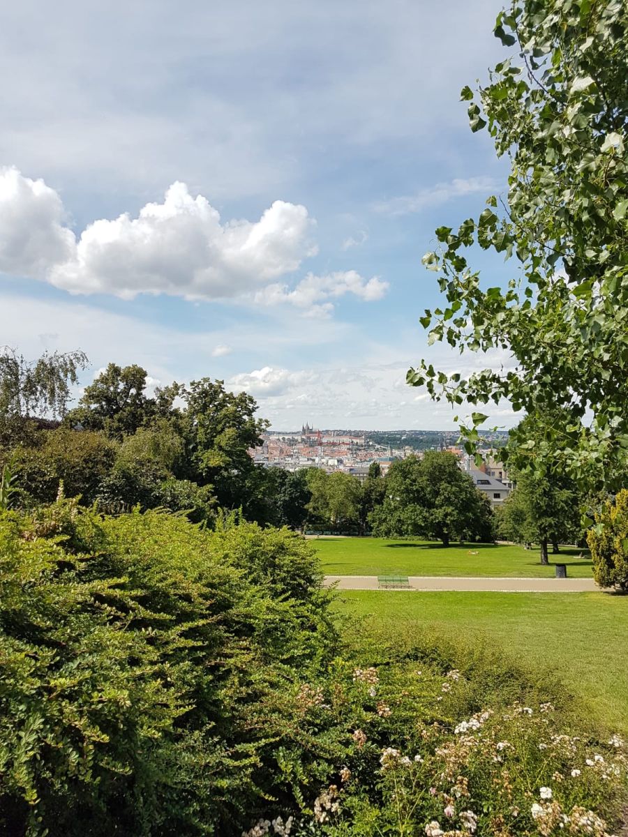 Prodej bytu 1+kk 25 m², Praha – náhled fotky 18