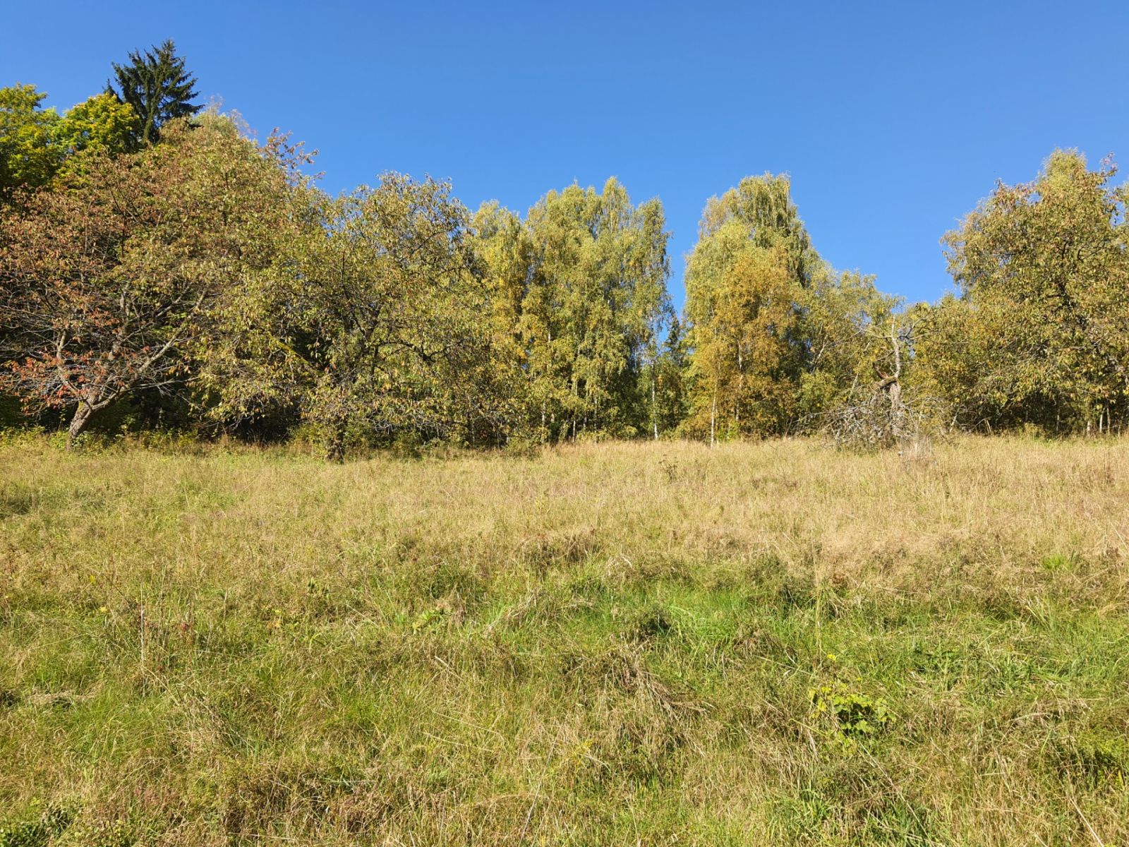 Prodej pozemku, Jablonec nad Jizerou – náhled fotky 12