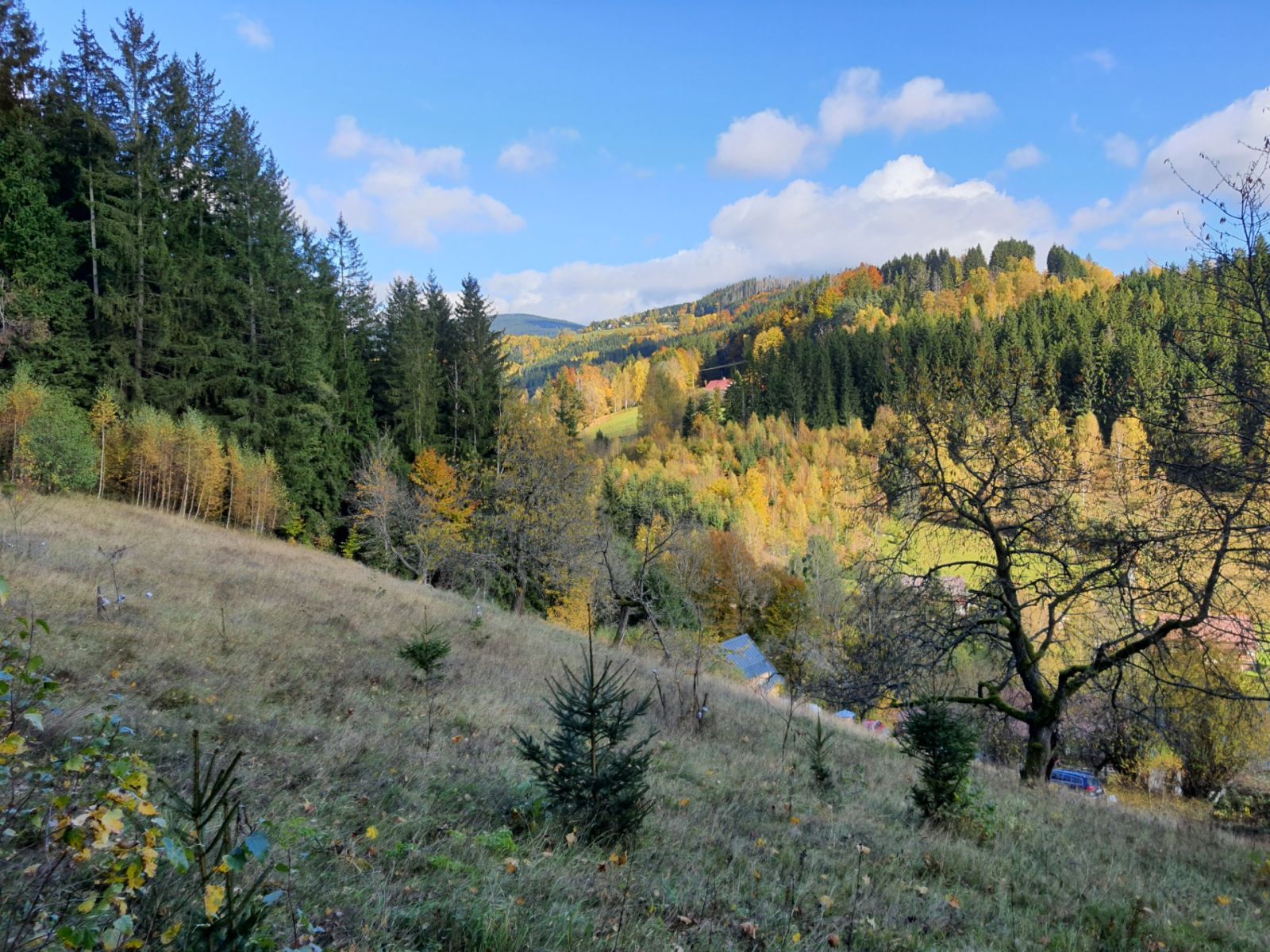 Prodej pozemku, Jablonec nad Jizerou – náhled fotky 11