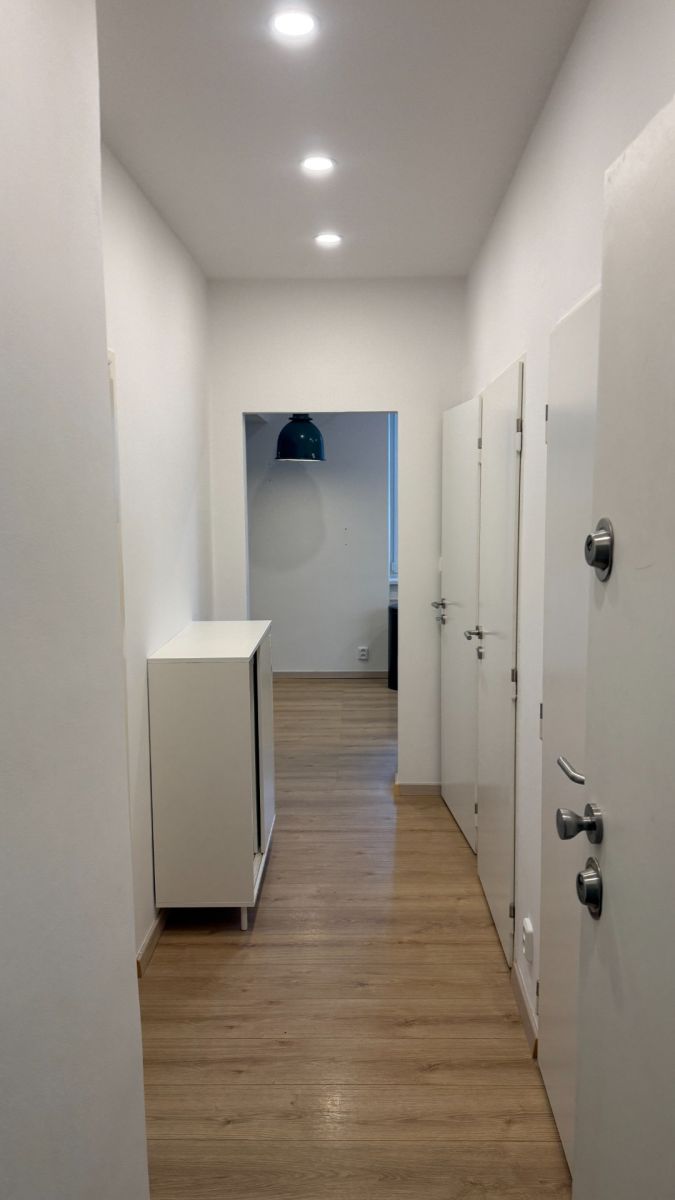 Pronájem bytu 1+kk 41 m², Praha – náhled fotky 4