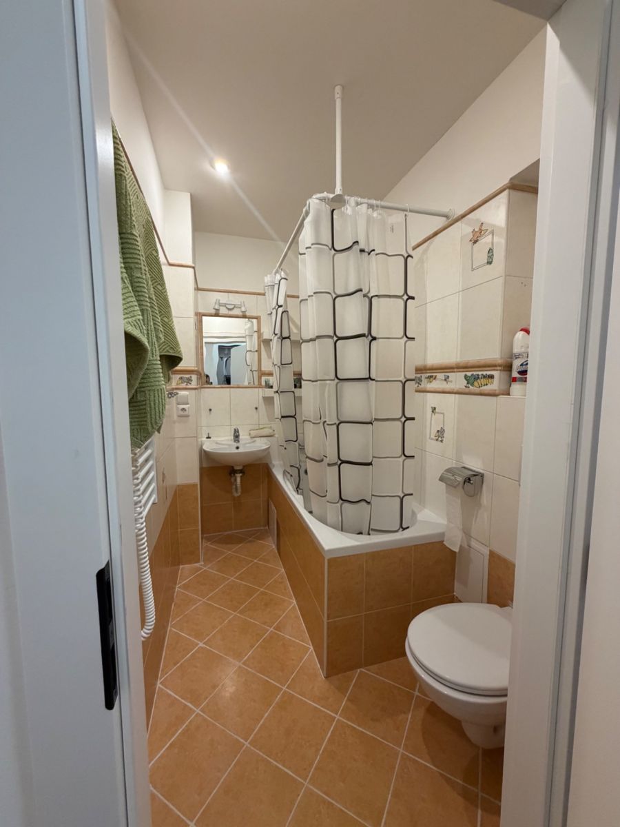 Pronájem bytu 1+1, 30 m² (7 z 7)