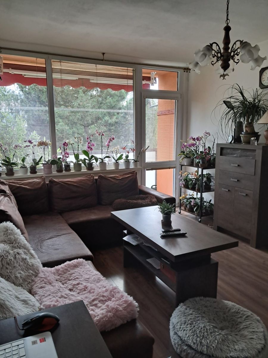 Prodej bytu 3+1 68 m²