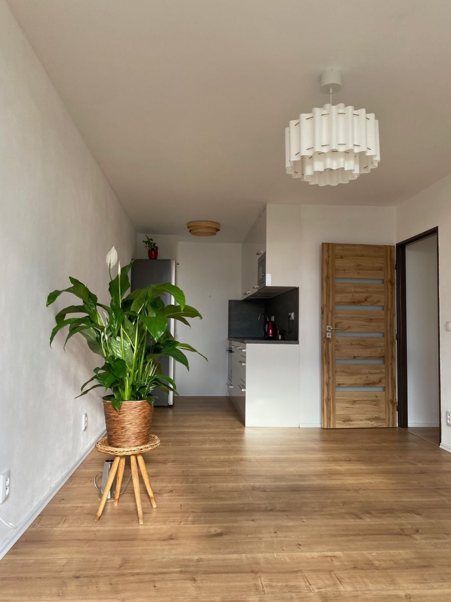 2-Zimmer-Wohnung, 39 m²