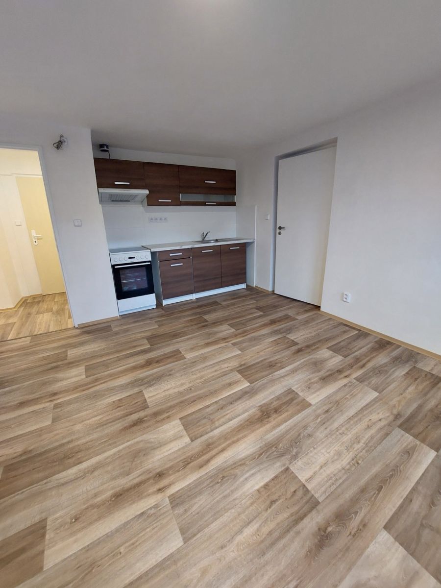 Hodkovická, Liberec - Doubí u Liberce, Liberecký kraj – fotografie 2