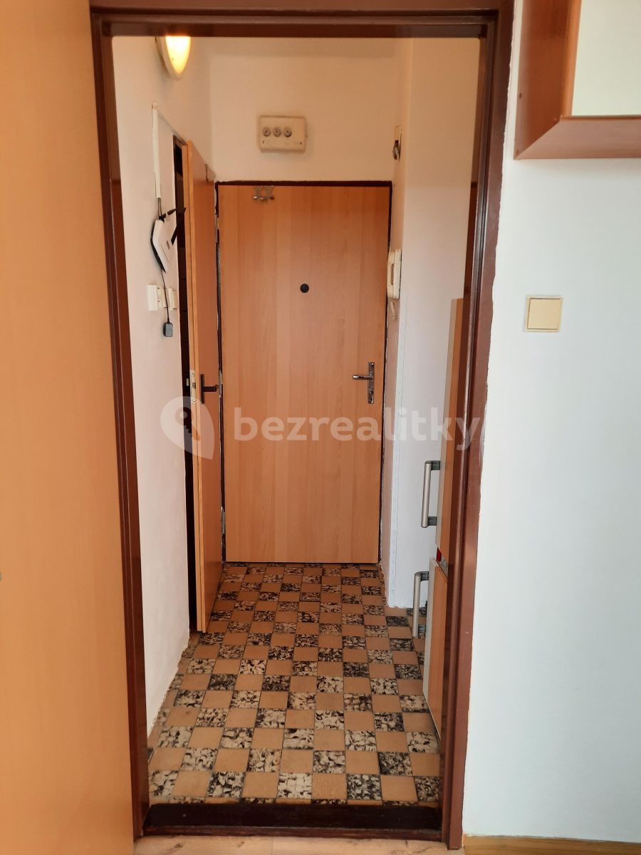 Pronájem bytu Garsoniéra 20 m² — photo 3