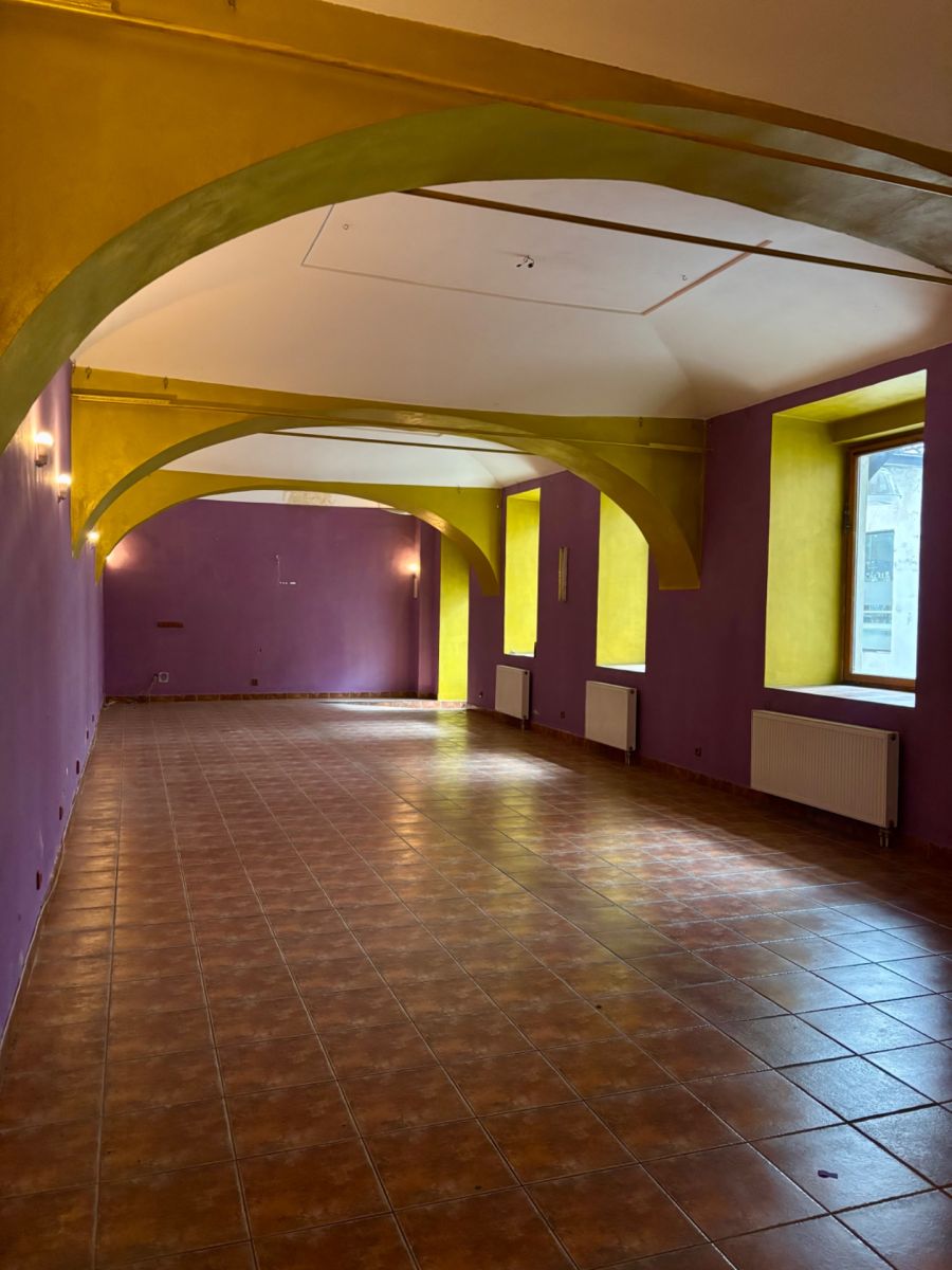 Pronájem komerčního prostoru ostatni 140 m², Praha – náhled fotky 13