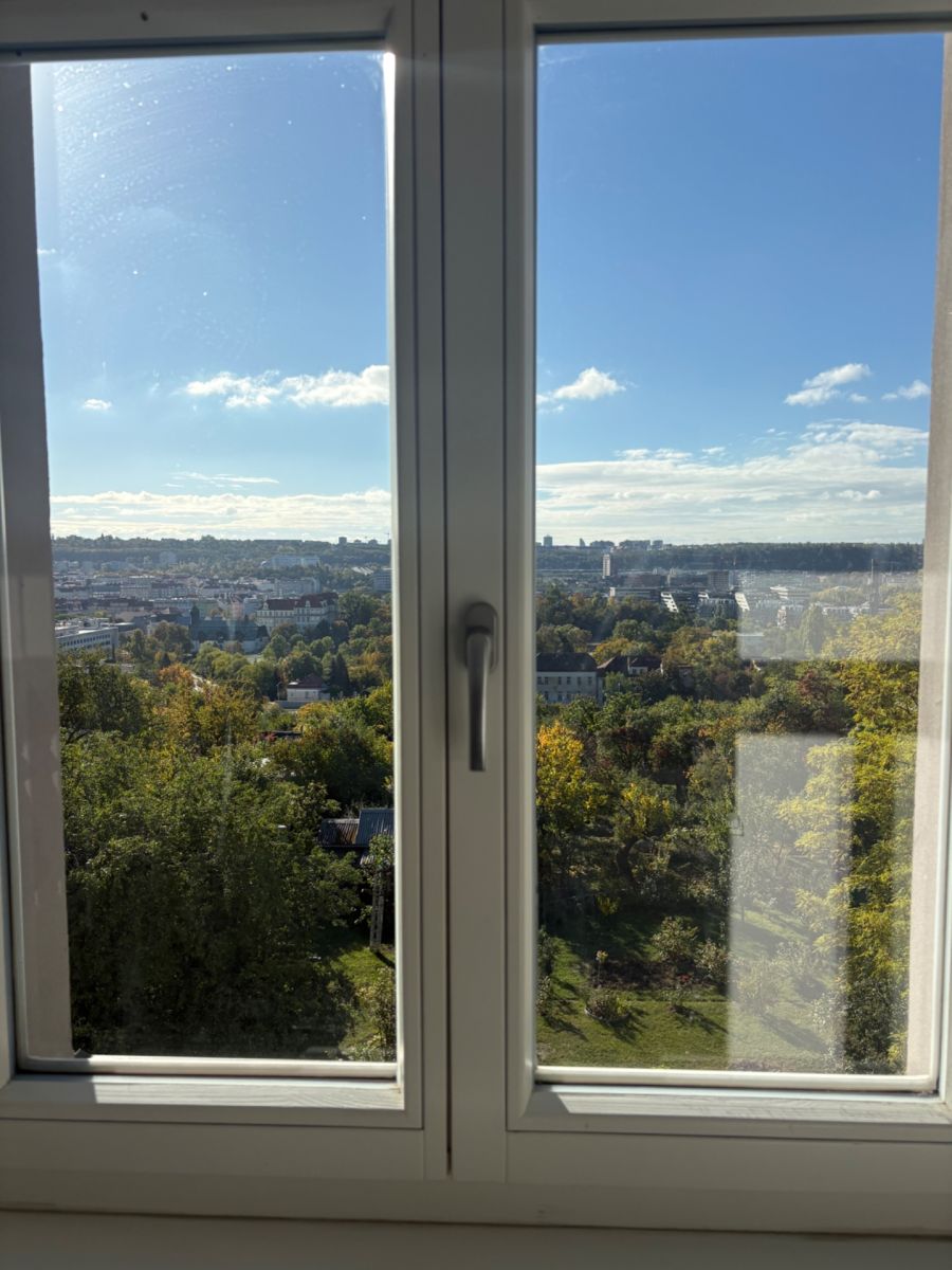 Pronájem bytu 2+1 70 m², Praha – náhled fotky 18