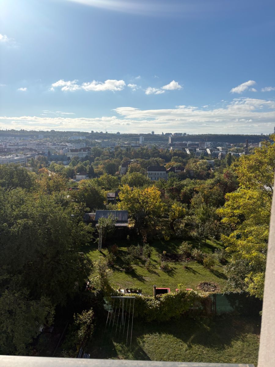 Pronájem bytu 2+1 70 m², Praha – náhled fotky 20