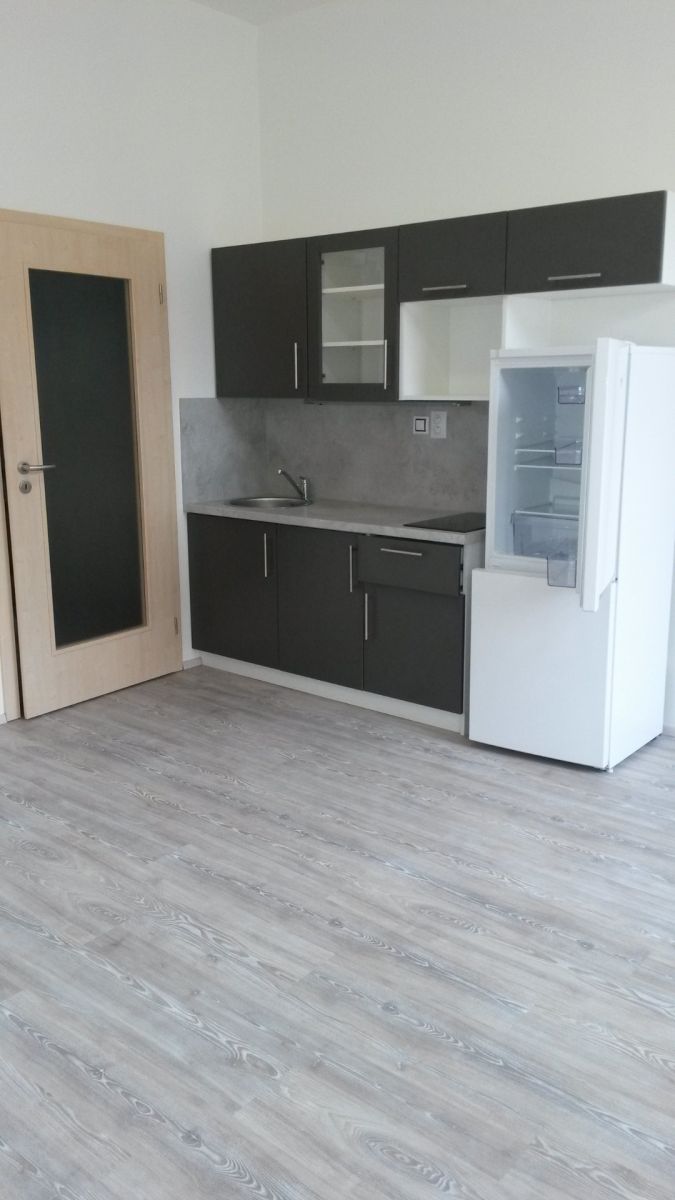 Pronájem bytu 1+kk 24 m², Praha – náhled fotky 4