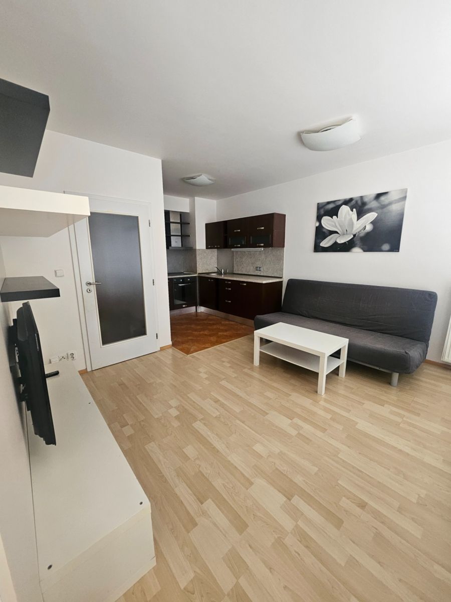 Pronájem bytu 1+kk 42 m², Praha – fotka 1 z 8