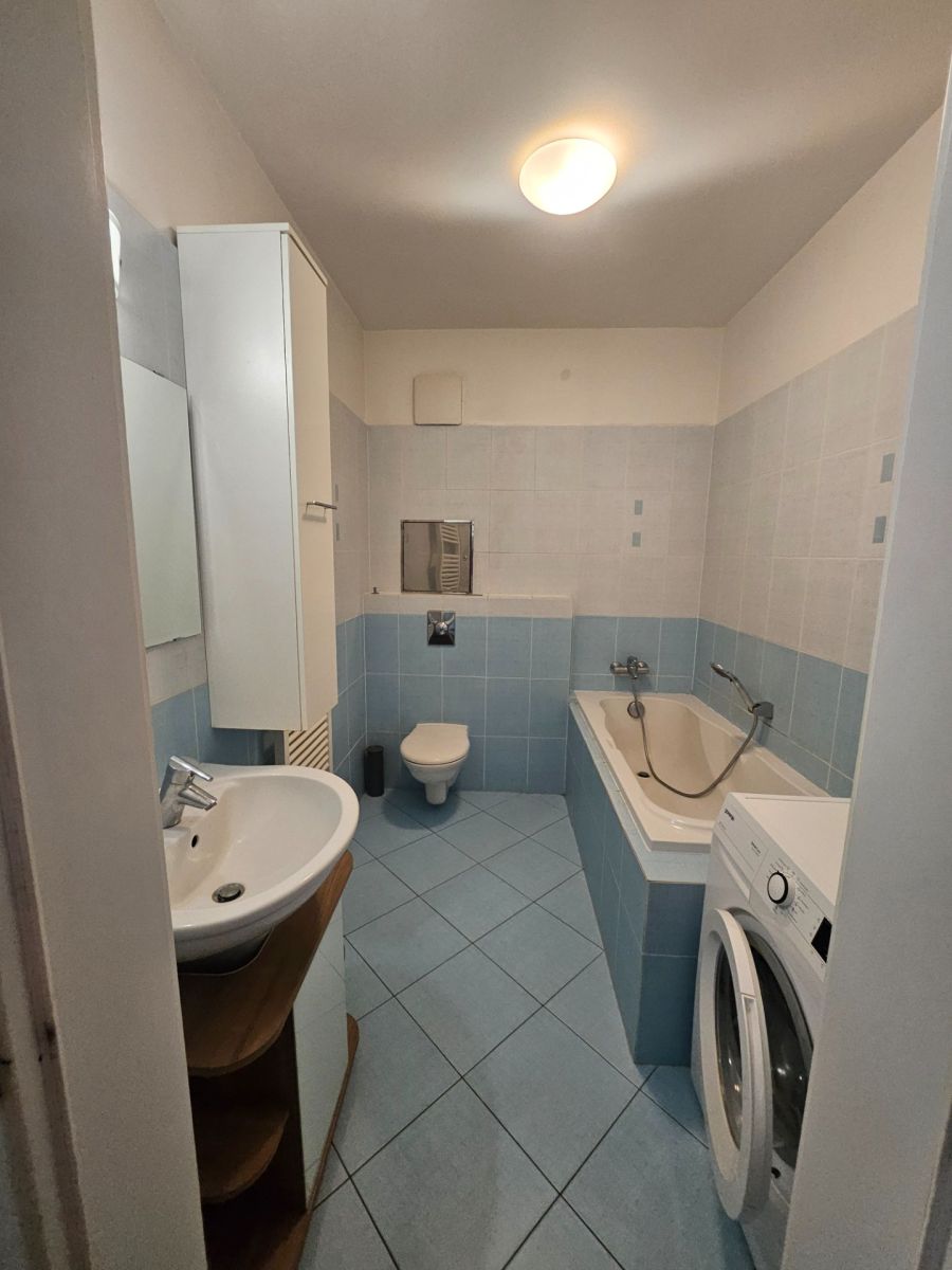 Pronájem bytu 1+kk 42 m², Praha – náhled fotky 6