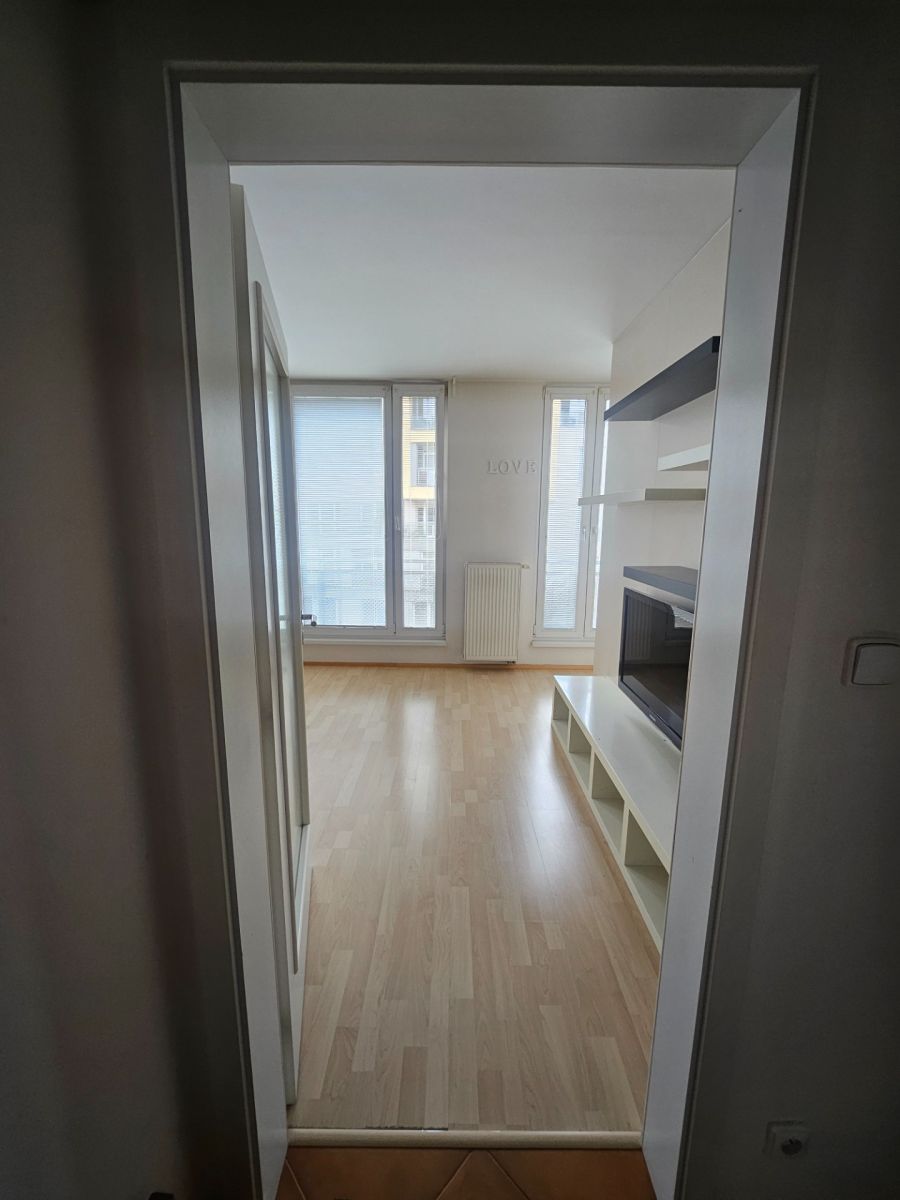 Pronájem bytu 1+kk 42 m², Praha – náhled fotky 7