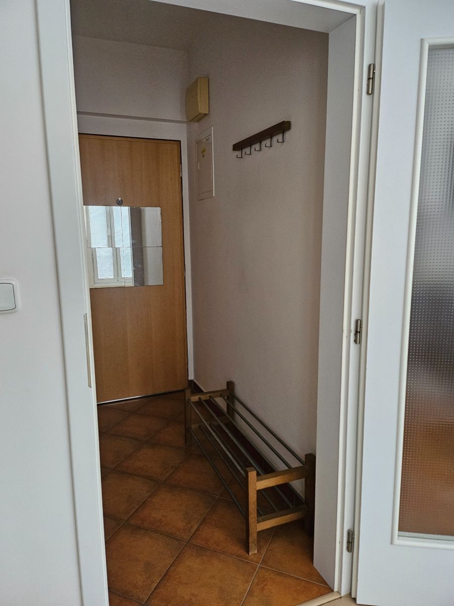 Pronájem bytu 1+kk 42 m², Praha – náhled fotky 8