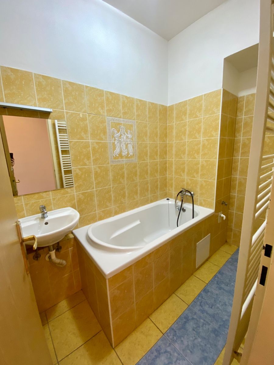 Pronájem bytu 1+1 35 m², Praha – náhled fotky 13
