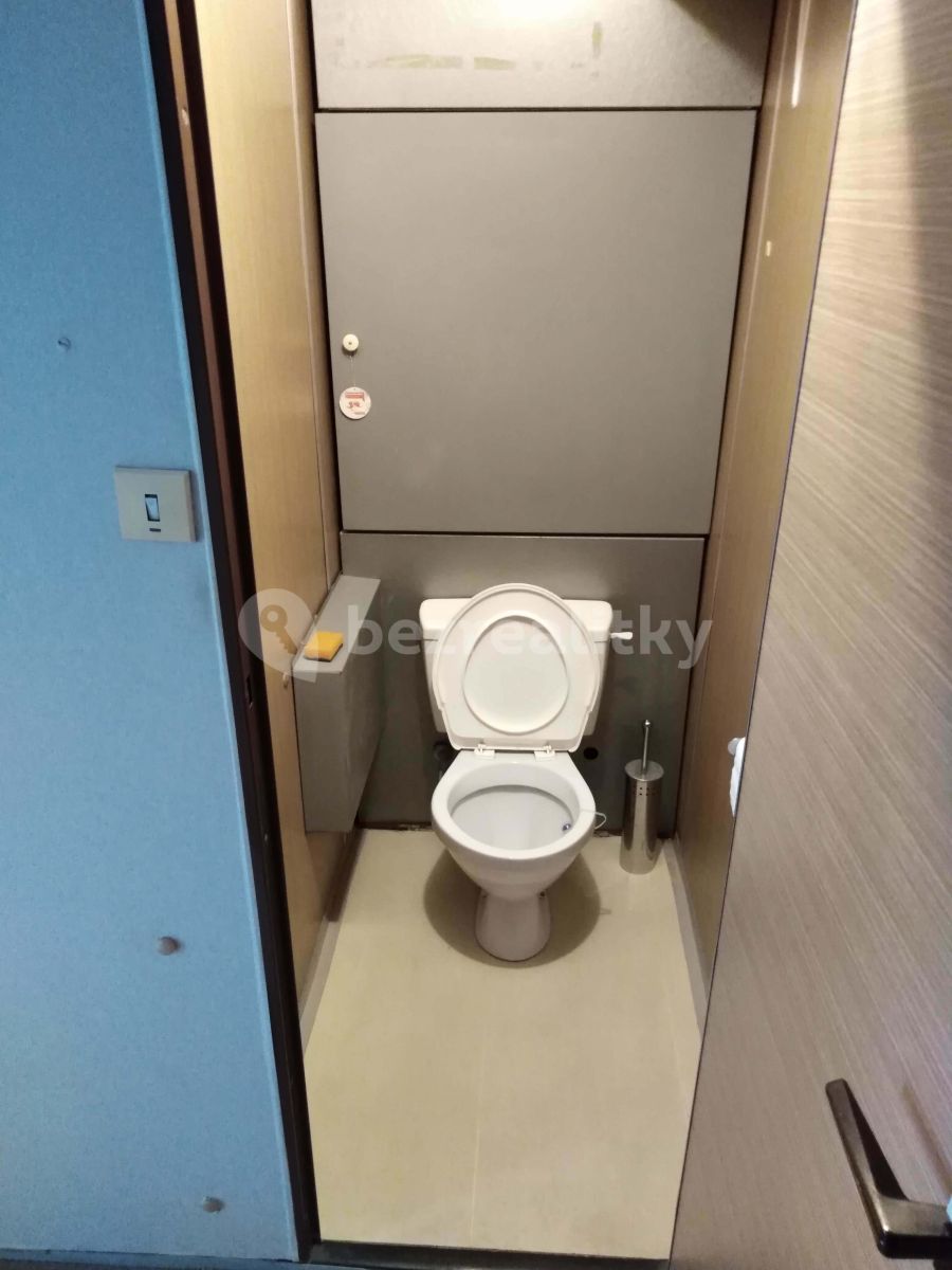 Pronájem bytu garsoniera 36 m², Praha – náhled fotky 7