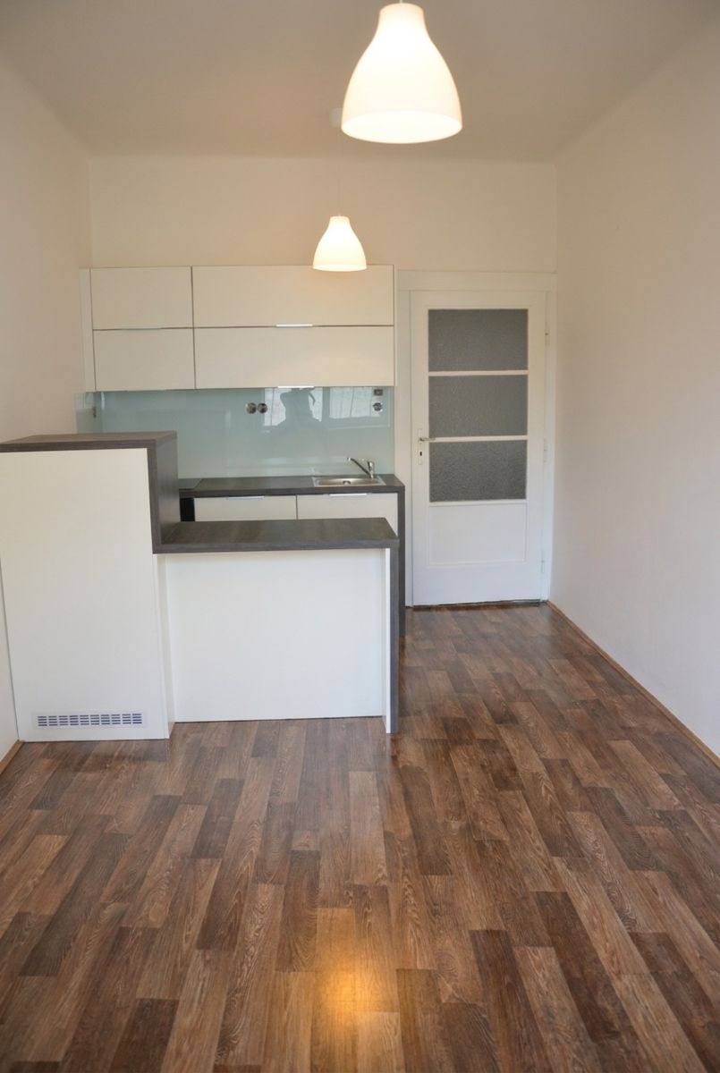 Pronájem bytu 2+kk 45 m² — photo 3