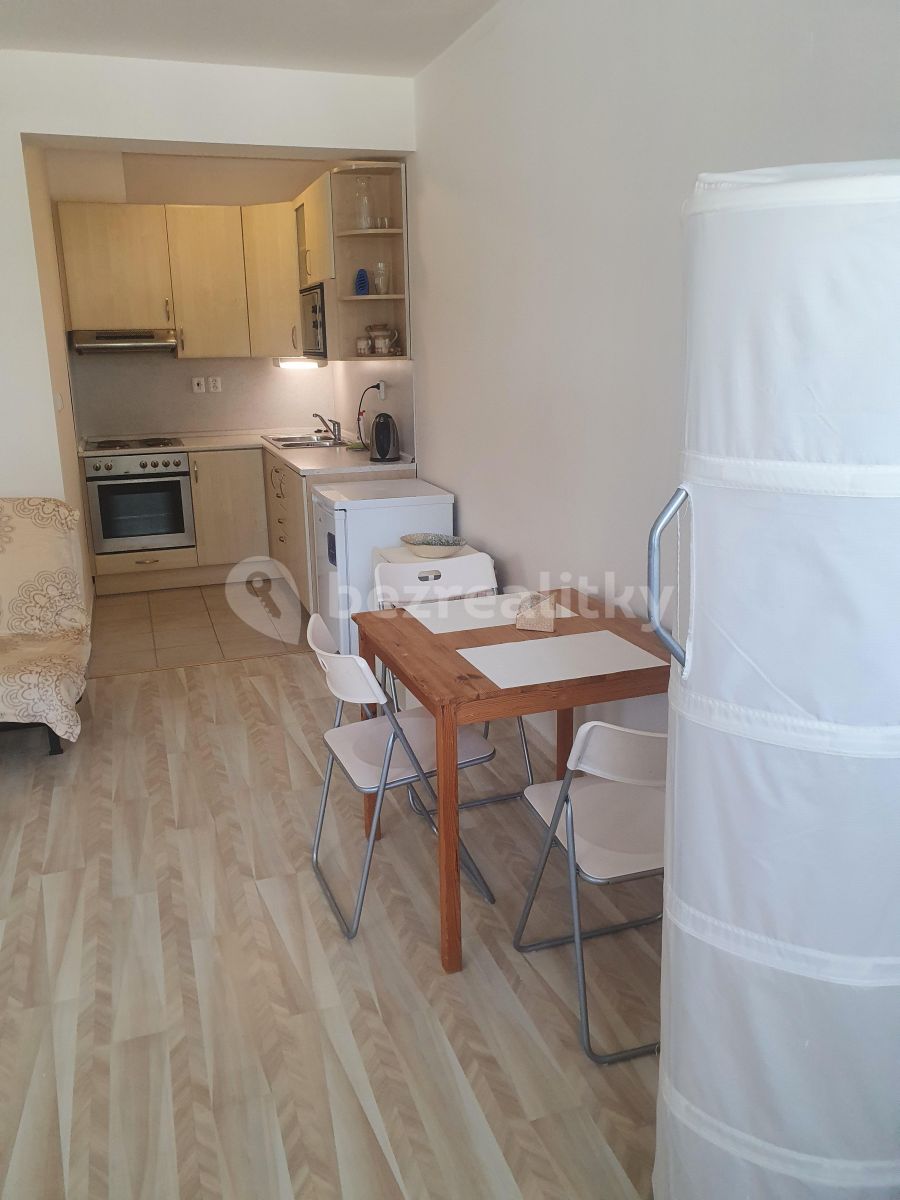 Pronájem bytu 1+kk 39 m² — photo 4