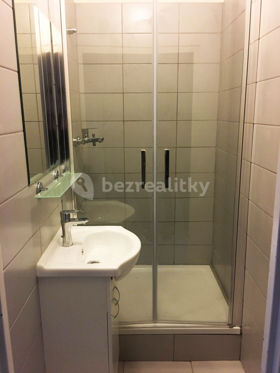 Pronájem bytu 1+kk 27 m², Praha – náhled fotky 5