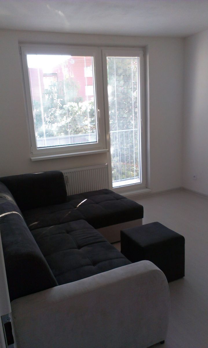 Pronájem bytu 2+1 57 m², Frýdek-Místek – náhled fotky 8