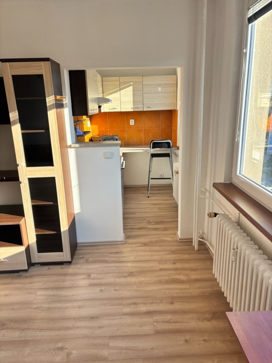 Pronájem bytu 1+1 32 m² — photo 5