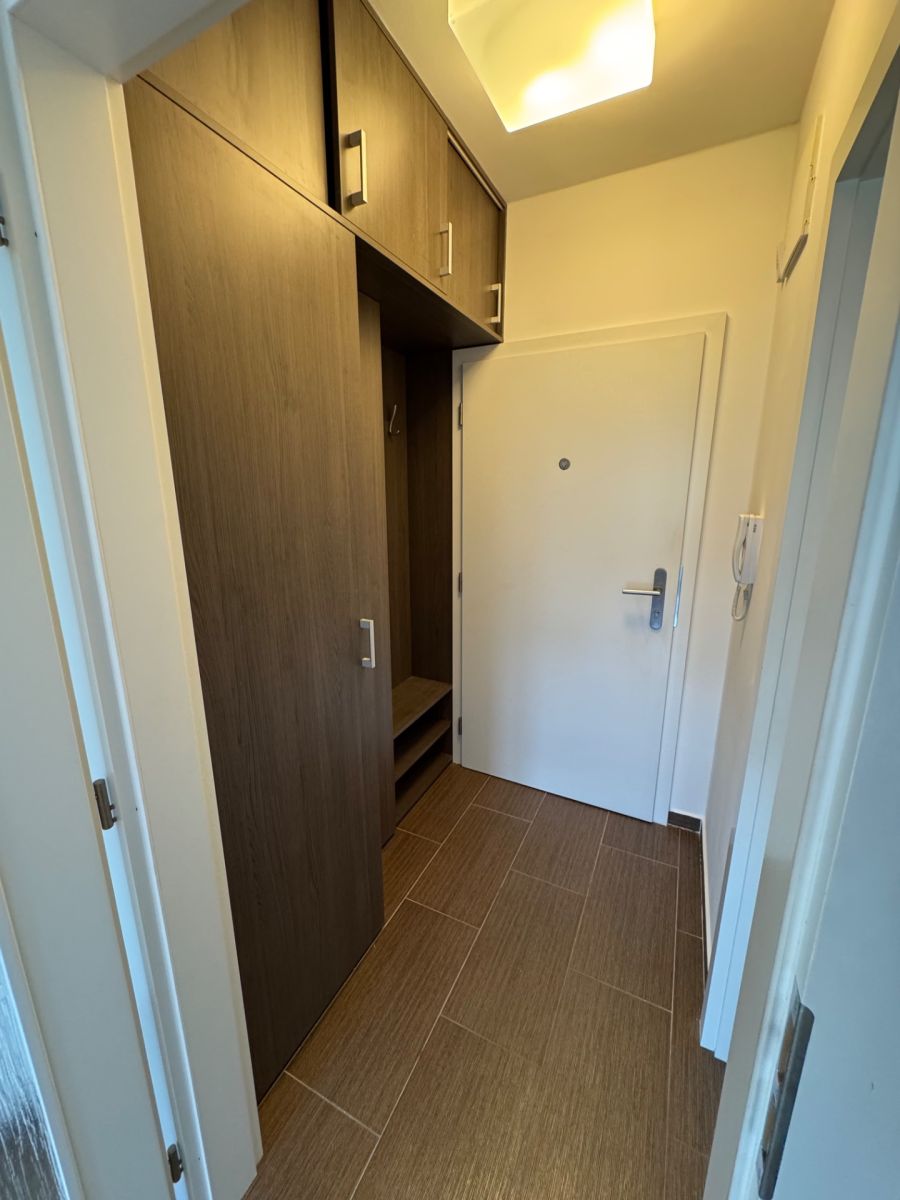 Pronájem bytu 1+kk 39 m²