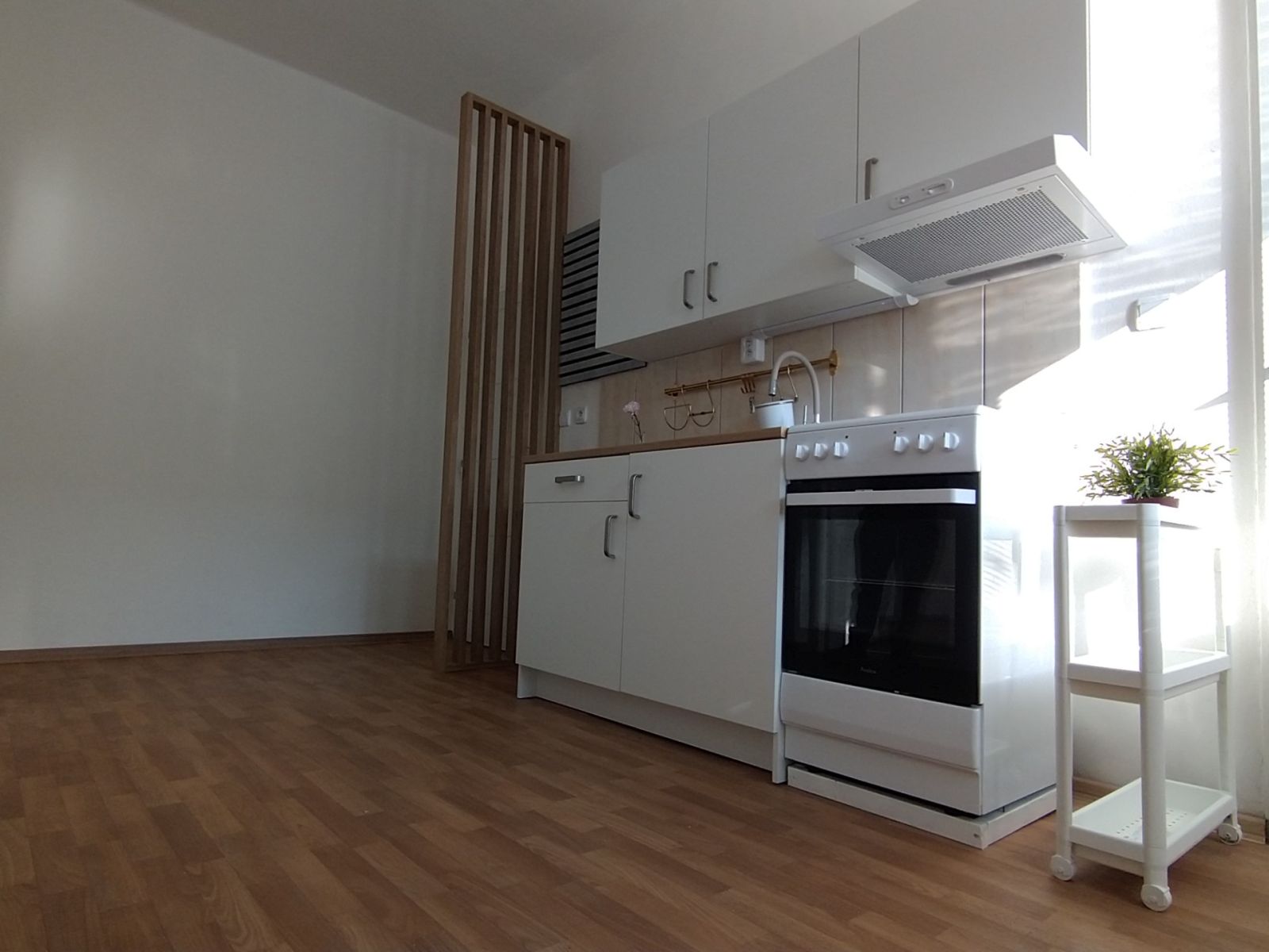 Pronájem bytu 2+kk 65 m², Ostrava – náhled fotky 11