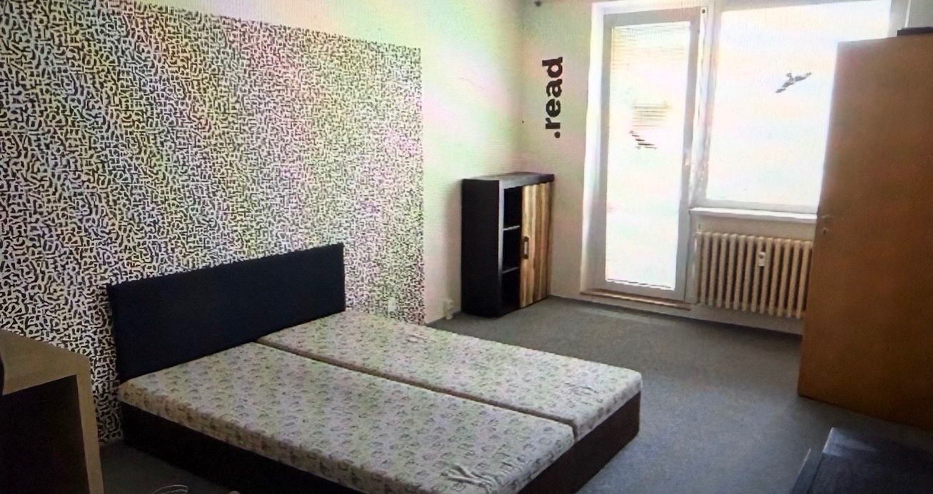 Pronájem bytu 1+1 45 m² — photo 4