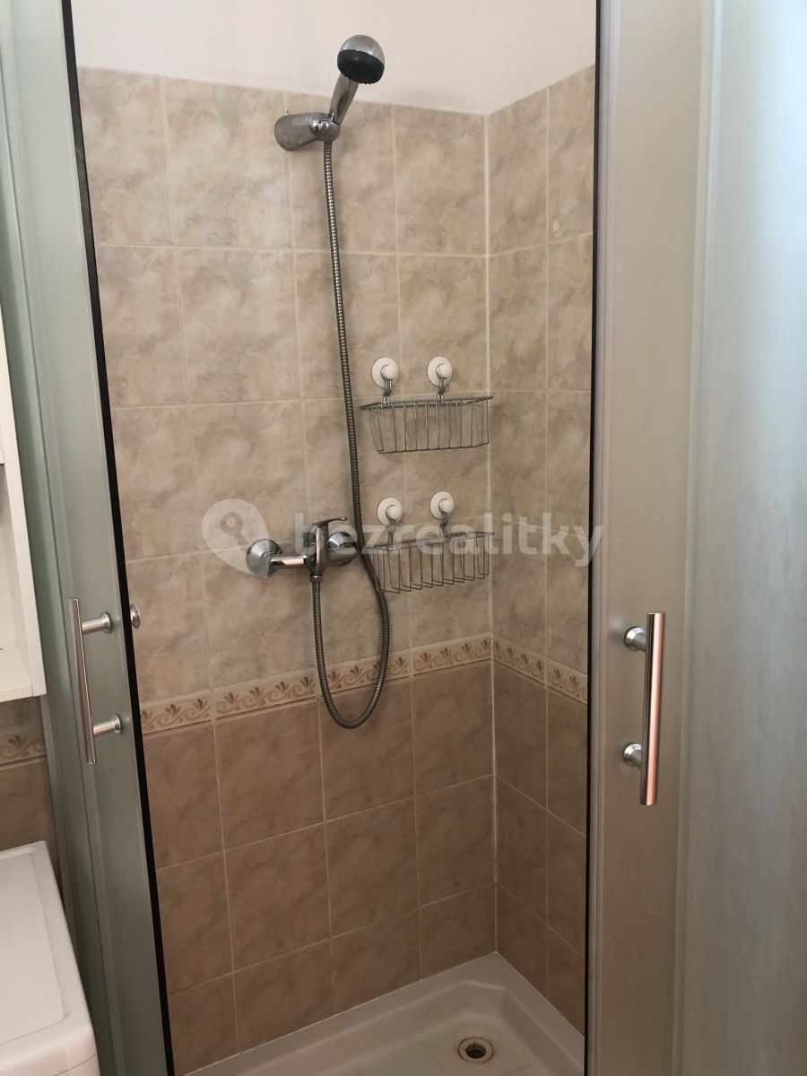 Pronájem bytu 2+kk 45 m² — photo 4