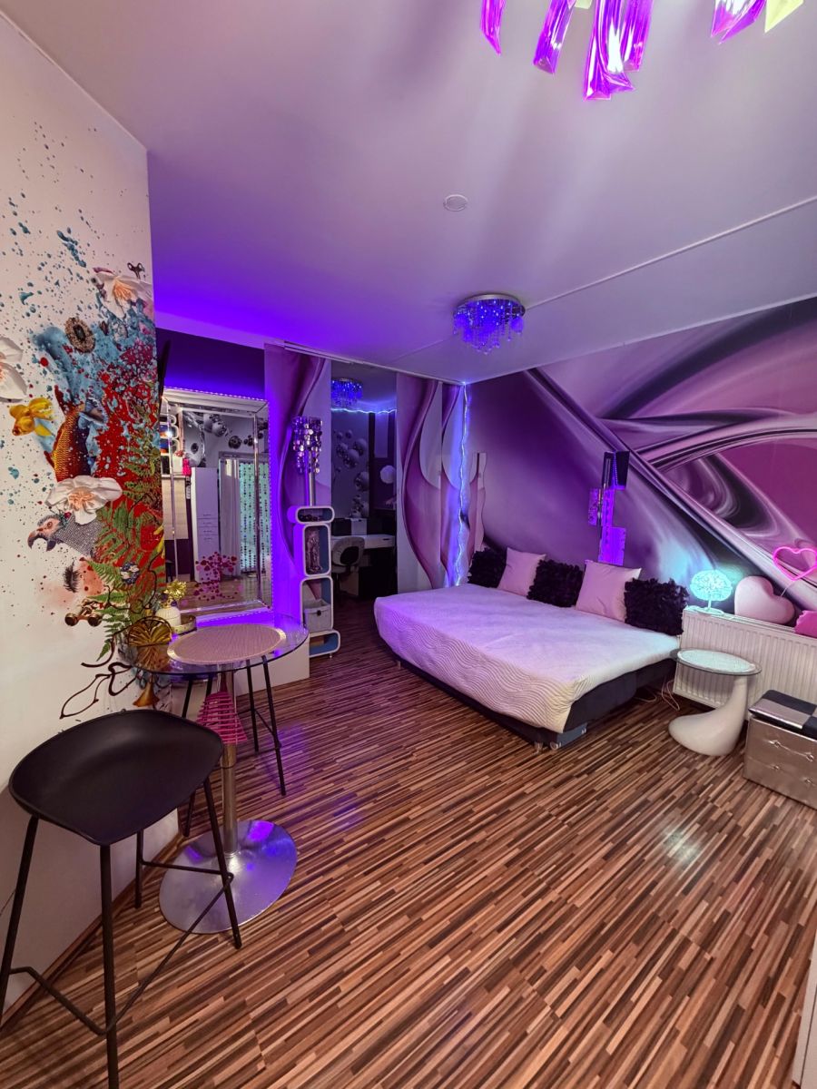 Pronájem bytu 1+kk 24 m² — photo 3
