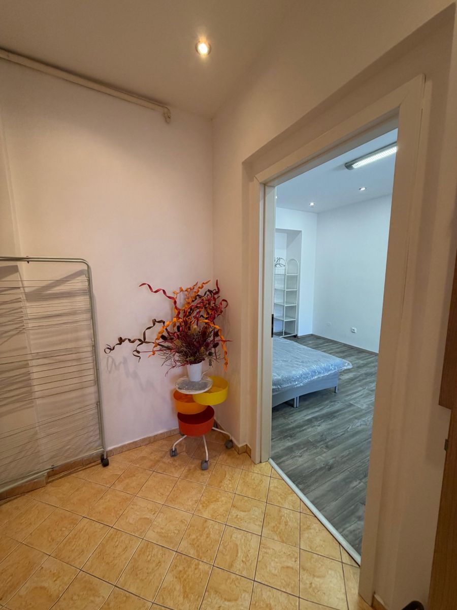 Pronájem bytu 1+kk 35 m², Plzeň – náhled fotky 15