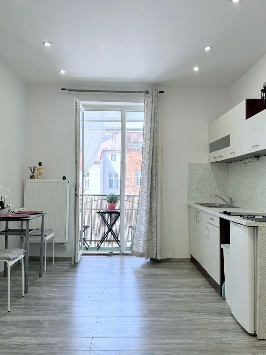 Pronájem bytu 1+kk 35 m², Plzeň – náhled fotky 2