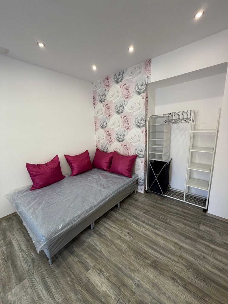 Pronájem bytu 1+kk 35 m², Plzeň – náhled fotky 11