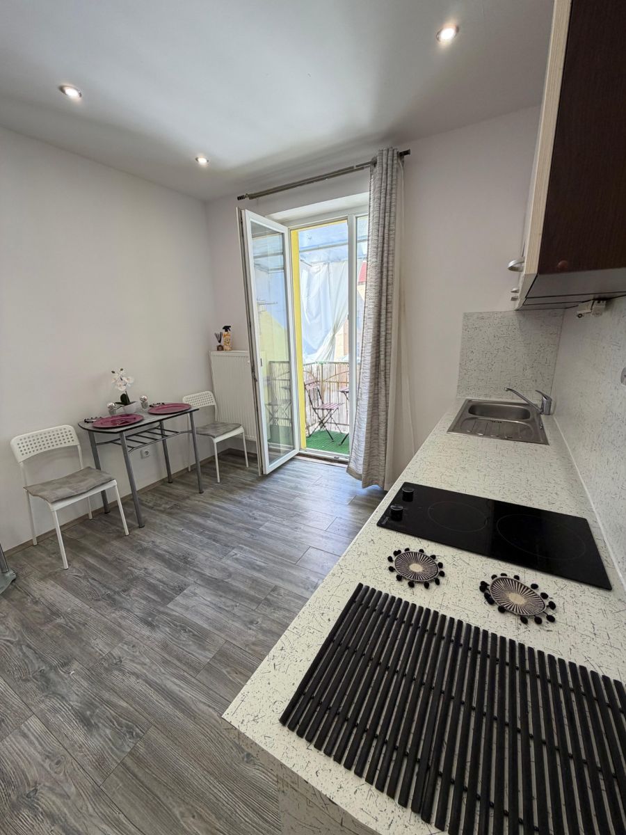 Pronájem bytu 1+kk 35 m², Plzeň – náhled fotky 13