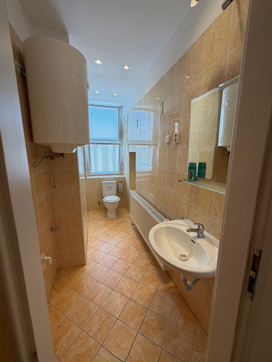 Pronájem bytu 1+kk 35 m², Plzeň – náhled fotky 16