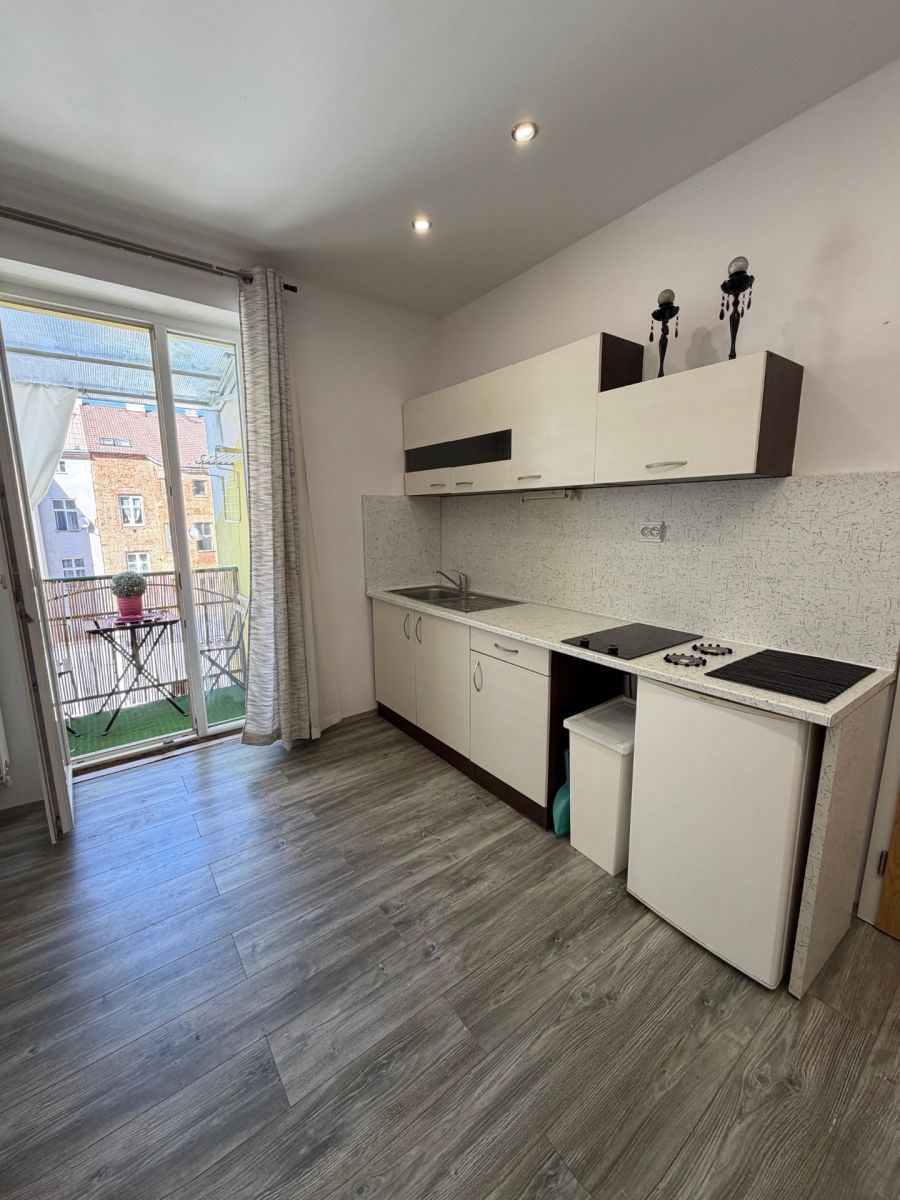 Pronájem bytu 1+kk 35 m², Plzeň – náhled fotky 14