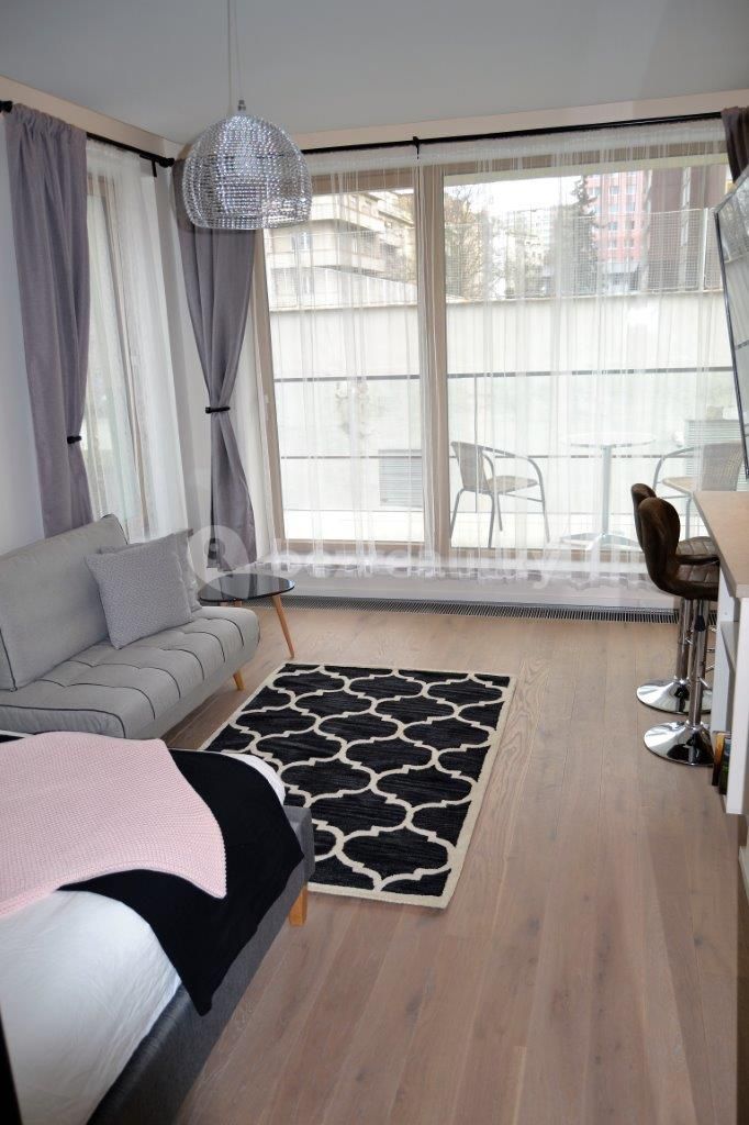 Pronájem bytu 1+kk 38 m² — photo 3