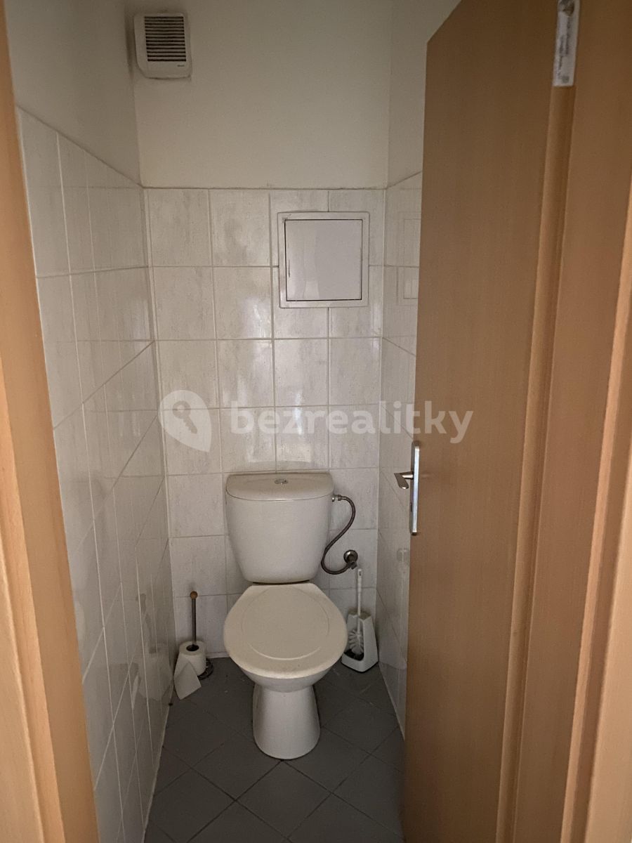 Pronájem bytu 1+kk 30 m² — photo 4