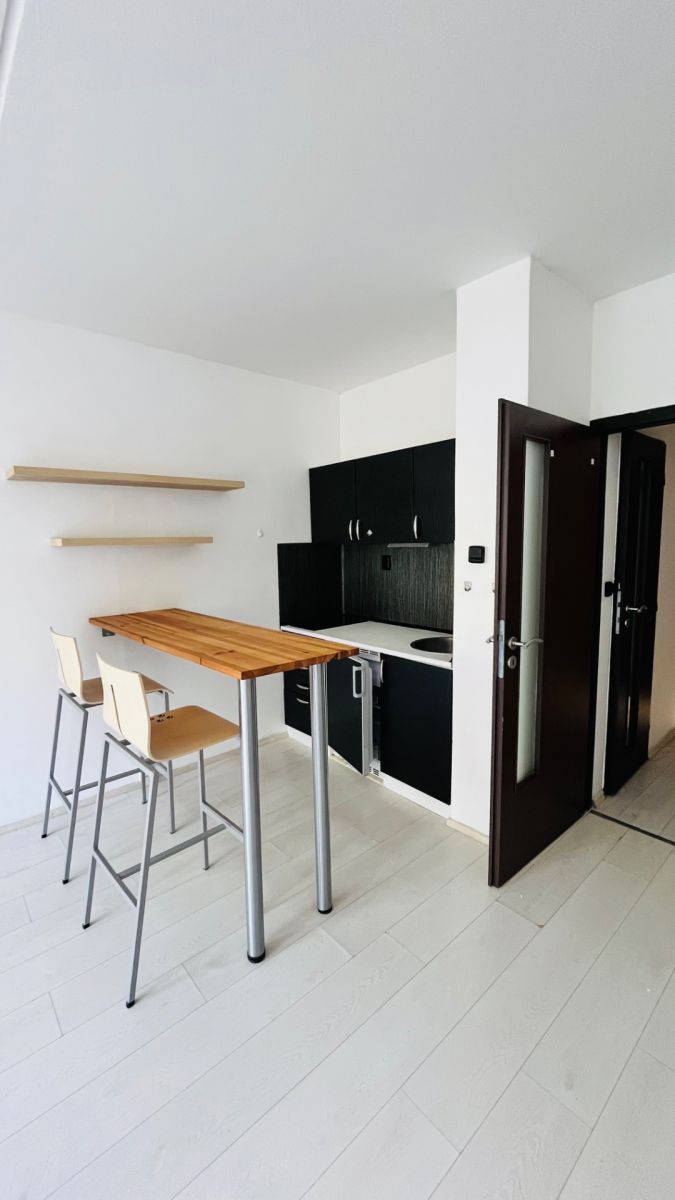 Pronájem bytu Garsoniéra 31 m² — photo 2