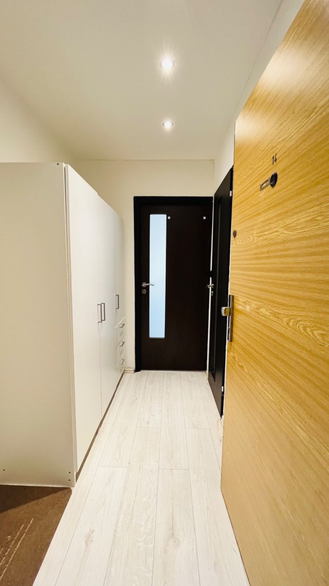 Pronájem bytu Garsoniéra 31 m² — photo 4