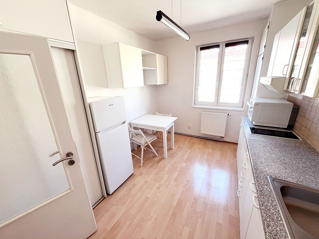 Pronájem bytu 1+1 51 m² — photo 3