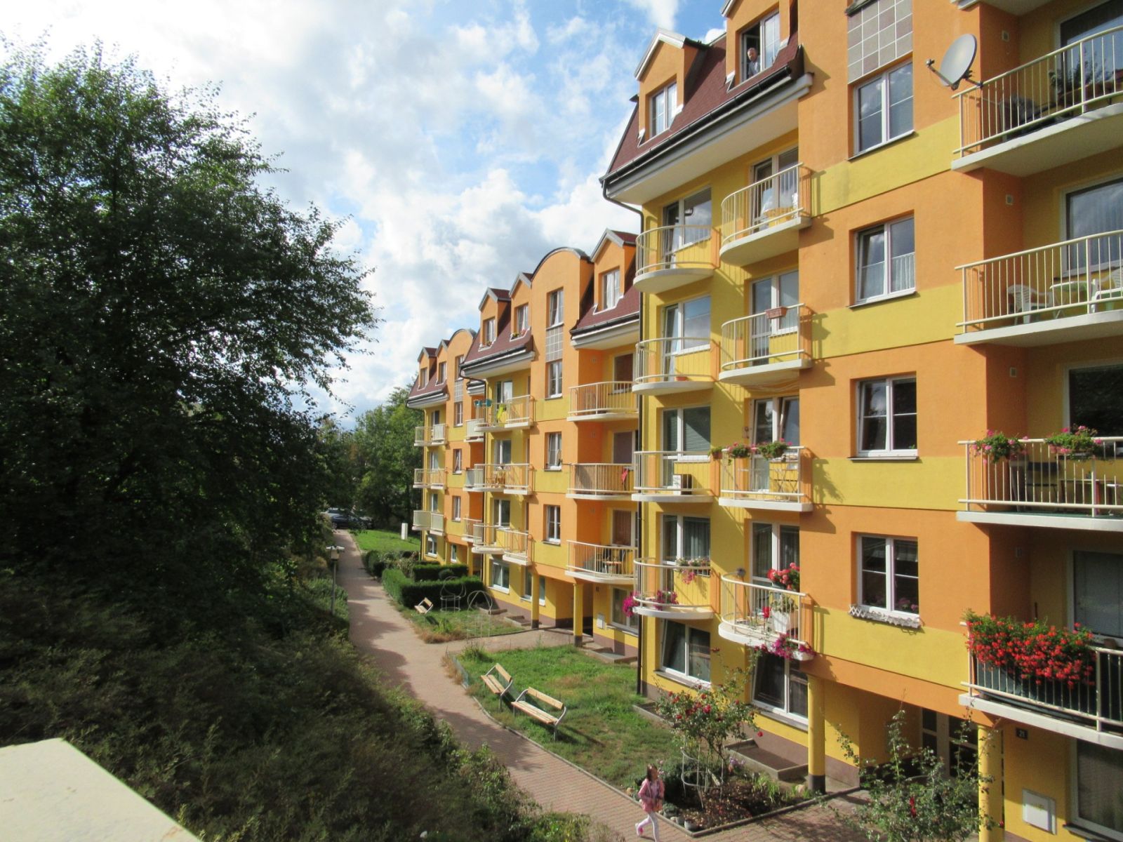 Pronájem bytu 1+1 38 m² — photo 2