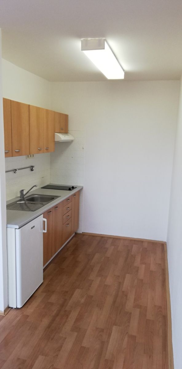 Pronájem bytu 1+kk 36 m² — photo 4