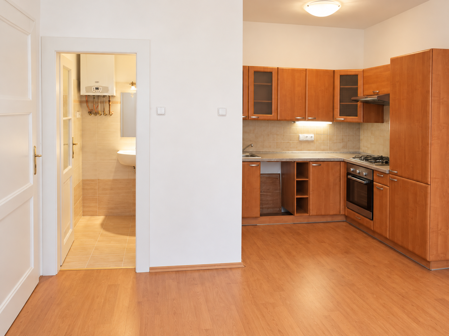 Pronájem bytu 2+kk 54 m², Praha – náhled fotky 4