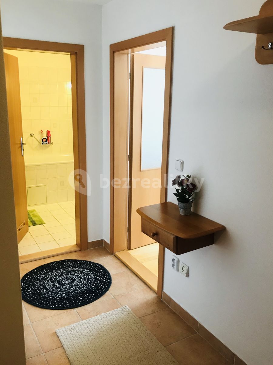 Pronájem bytu 1+kk 40 m² — photo 2
