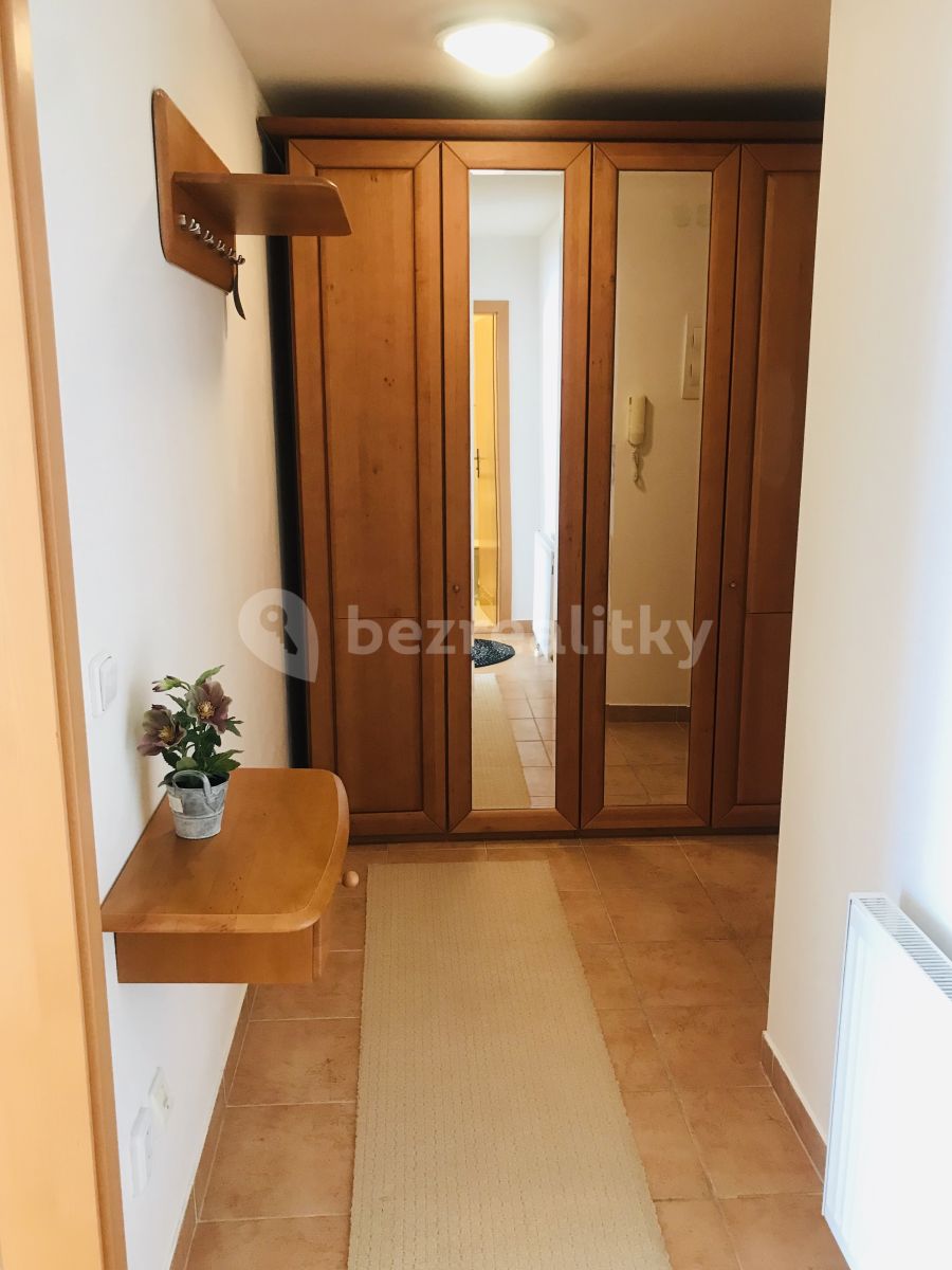 Pronájem bytu 1+kk 40 m² — photo 3