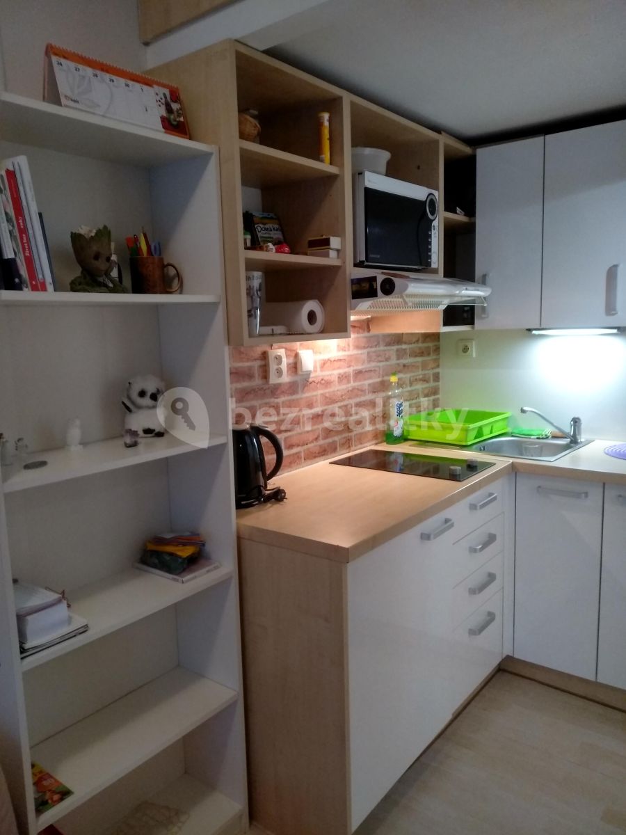 Pronájem bytu Garsoniéra 16 m² — photo 4